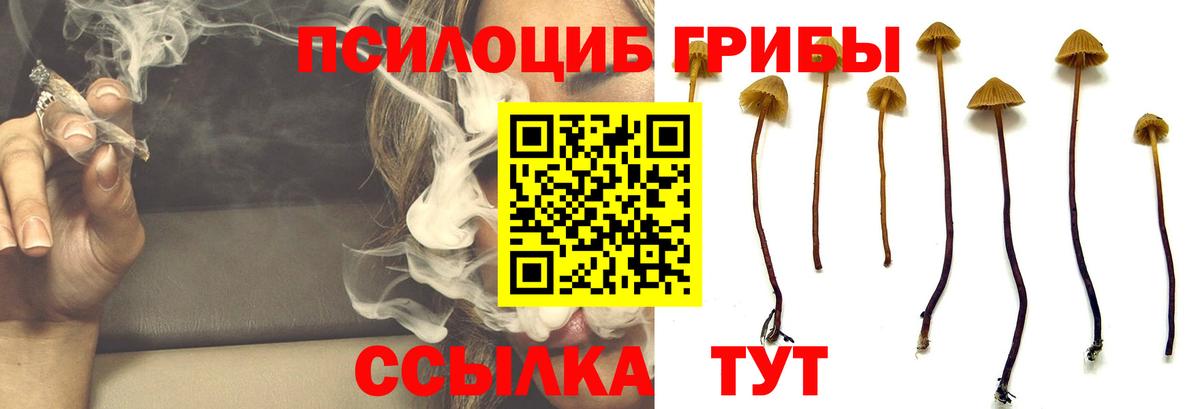 Самара  Псилоцибиновые грибы Psilocybe  Вход с VPN  Галлюциногенные грибы Psilocybine cubensis 
